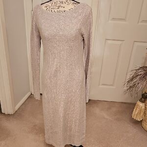 Ralph Lauren Shimmering Silver Long Sleeve Dress Two Piece With Lining